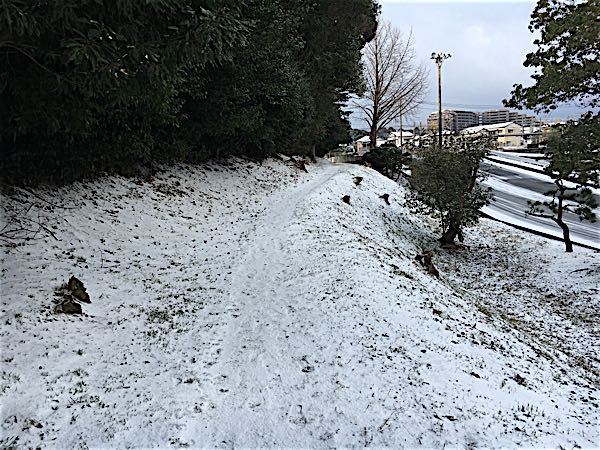 rblog-20180206130235-01.jpg