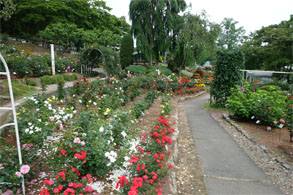 佳松園99.jpg