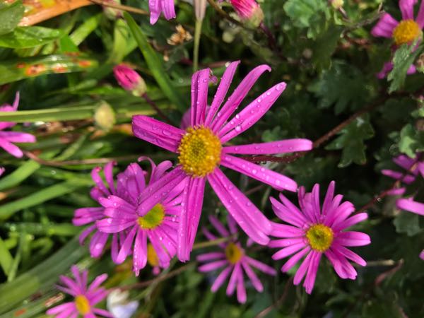 rblog-20190401163305-04.jpg
