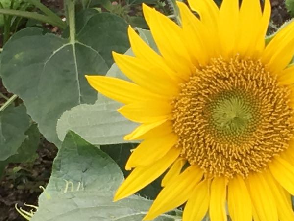 rblog-20180716153747-04.jpg