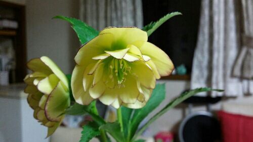 rblog-20170223085401-08.jpg
