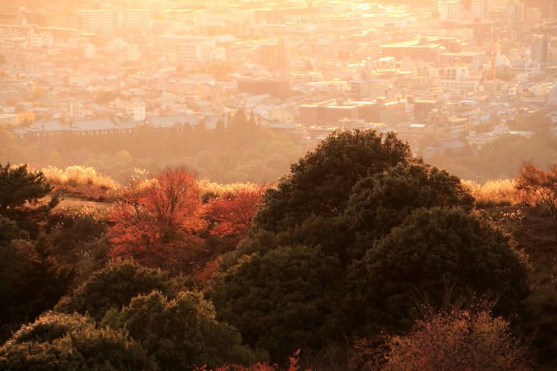 ss-若草山夕景_003.jpg