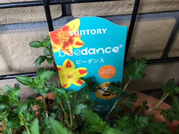 rblog-20190426181355-03.jpg