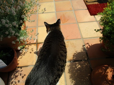 IMG_3356ss.jpg
