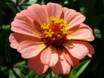 20160712_090903 (400x300).jpg