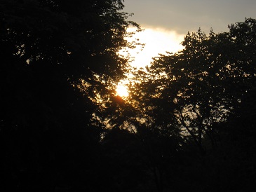 IMG_8696.JPG