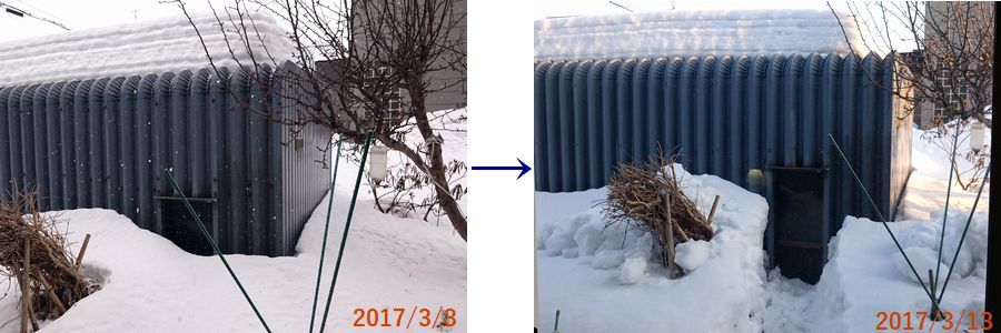 ３／１３物置前.jpg