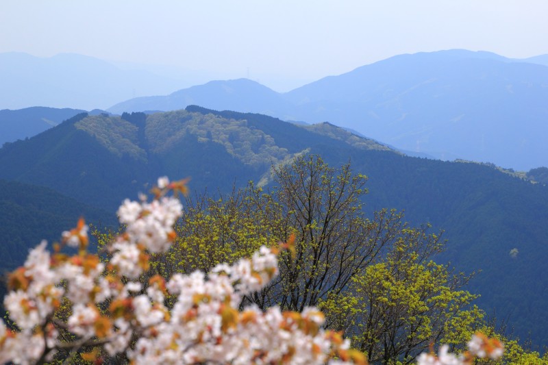 金剛山_005.jpg