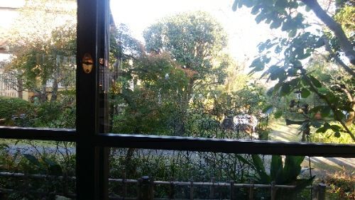 rblog-20171106170105-07.jpg