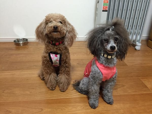 rblog-20150923210128-01.jpg