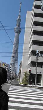i IMG_2500.jpg