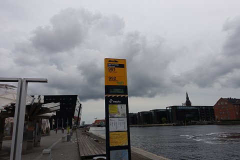 DSC01311rtw.jpg