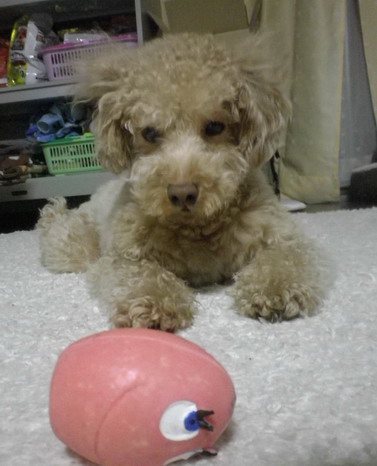 IMGP0414 9.jpg