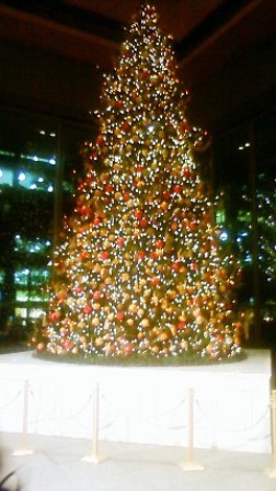 NEC_0019.JPG