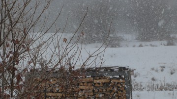 雪120214