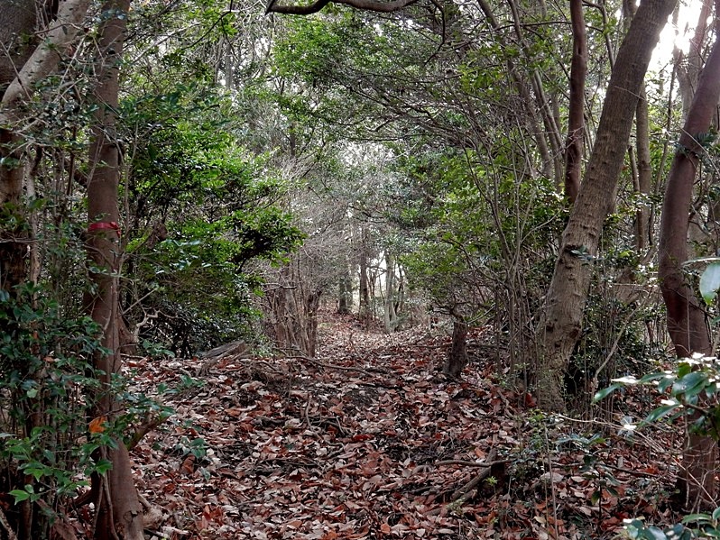 高圧鉄塔1.JPG