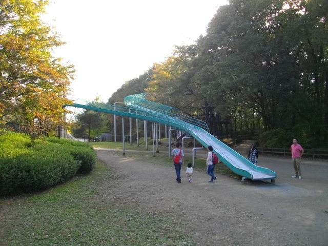 黒目川と秩父アミューズメント＆和銅 170.JPG