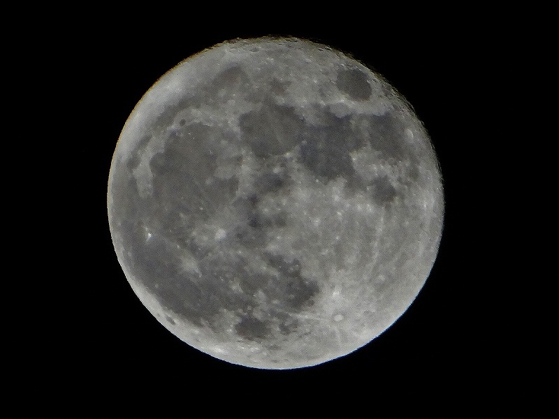 DSC02840 (800x600).jpg