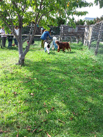 rblog-20131015171748-01.png