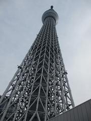 見上げると