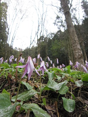 IMG_2771.jpg