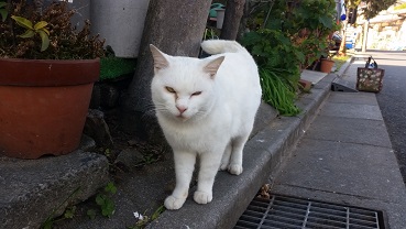 20160108_124331.jpg