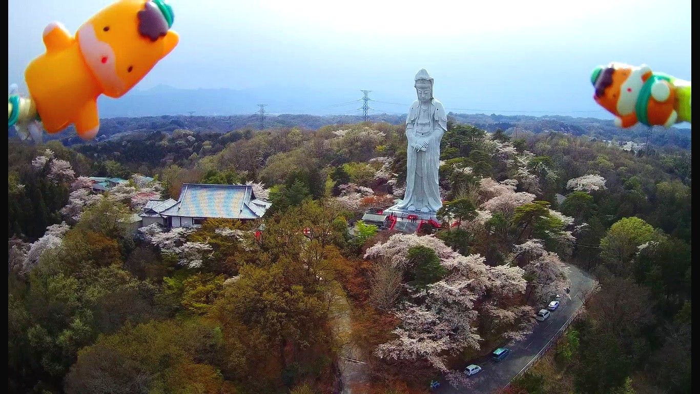 観音山で 今シーズン初めての チャリンコ登山 をした 19 4 14 山と空が友だち ドローン空撮ハイキング 楽天ブログ