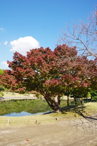 浜離宮恩賜庭園