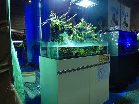 s-DSC01427.jpg