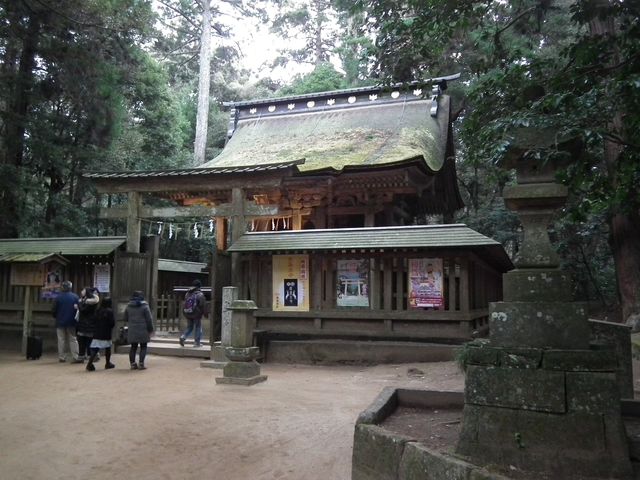 DSCF2180.JPG