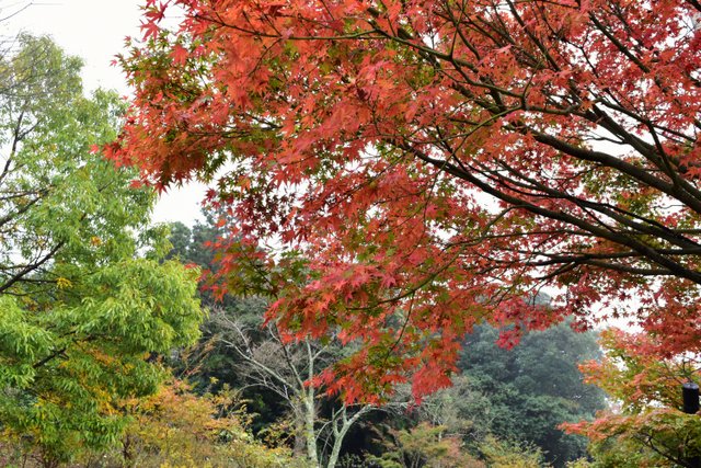 長安寺