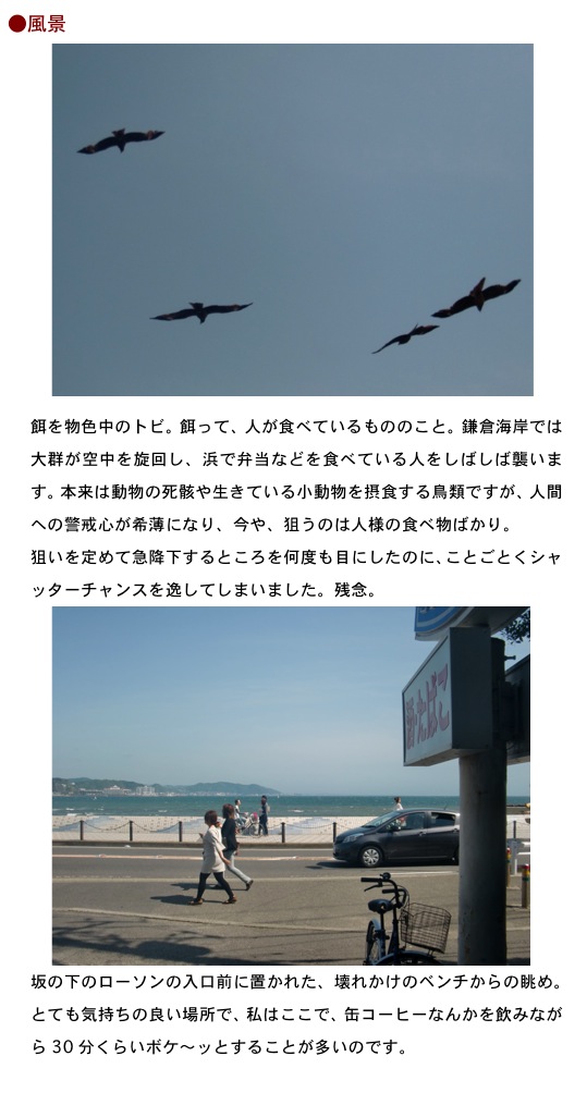 2013.05.15-2.jpg