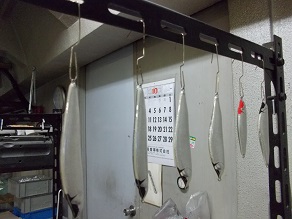 DSCN0003ir.JPG