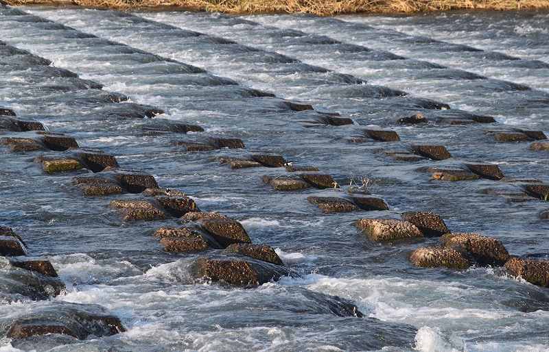 IMG_4861 (800x514).jpg