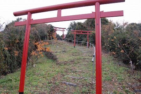 s-DSC_0420.jpg