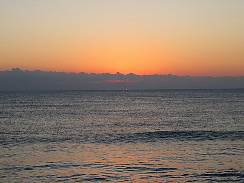 IMG_0781.jpg