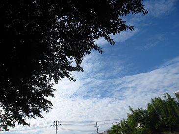 IMG_8991.JPG