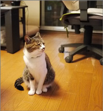 どこ見てんの？