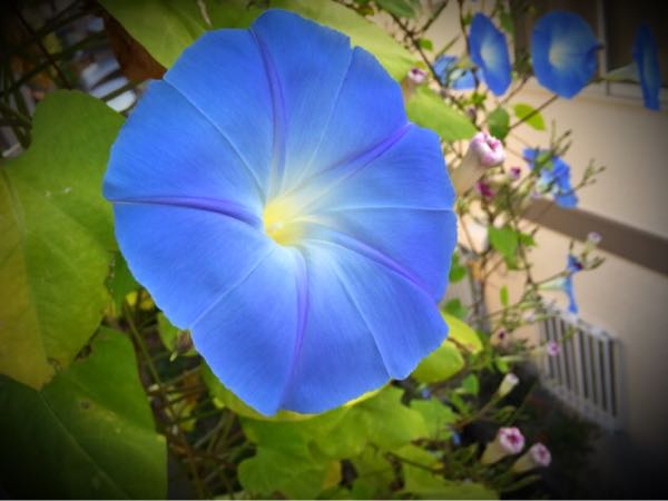 rblog-20151028185017-03.jpg