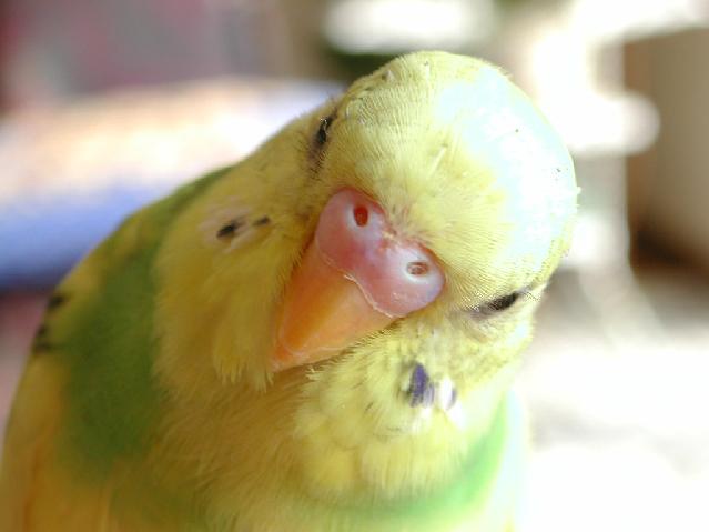 DSCN0318.jpg