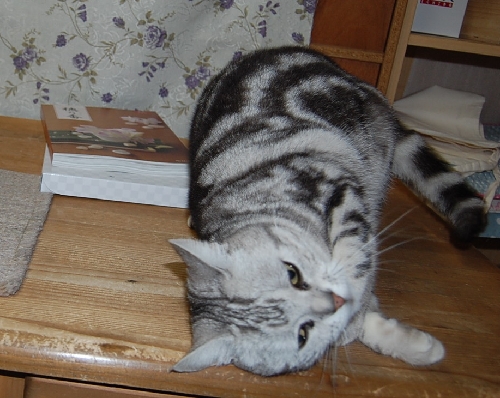DSC_0120.JPG