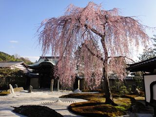 12.04.07 高台寺.JPG