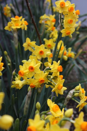 2015030102.JPG