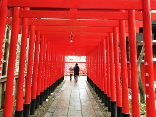 inari1.JPG