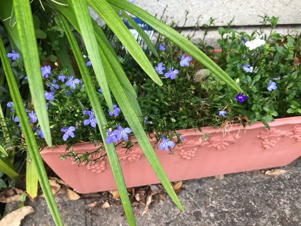 rblog-20180628171900-08.jpg