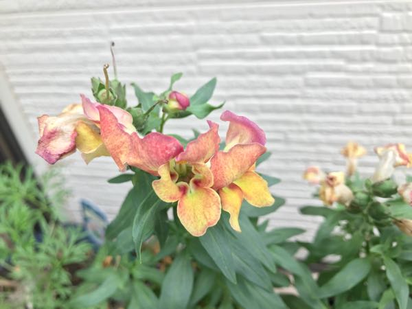 rblog-20180531150418-01.jpg