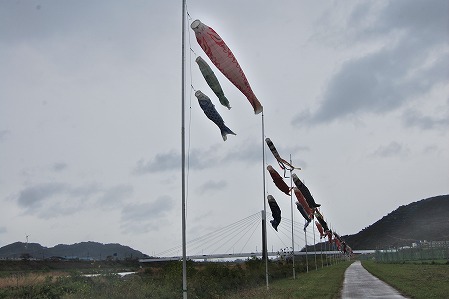 CSC_0486.jpg