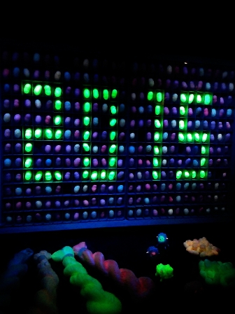 2015-01-13-22-06-09_deco.jpg