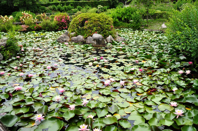 花３