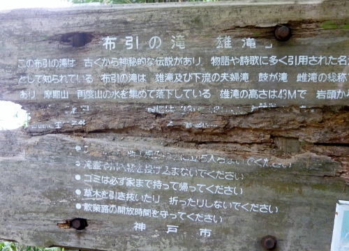 102 (500x360).jpg